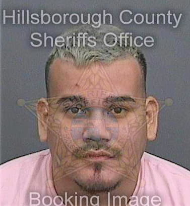 Sebastian Hector - Hillsborough County, FL 