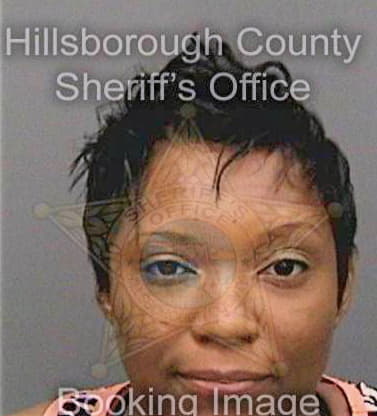 Singletary Melchisedce - Hillsborough County, FL 