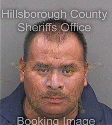 Lopezgarcia Raul - Hillsborough County, FL 