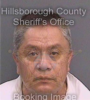 Delgado Vicente - Hillsborough County, FL 