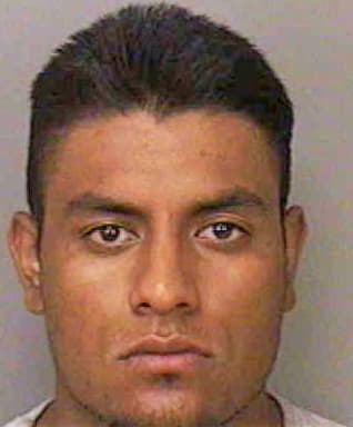 Hernandez Antonio - Polk County, FL 