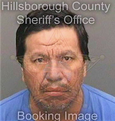 Cruz Herminio - Hillsborough County, FL 