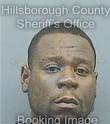 Lewis Vincent - Hillsborough County, FL 