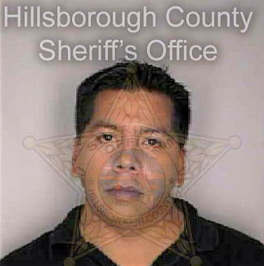 Bautista Augustine - Hillsborough County, FL 