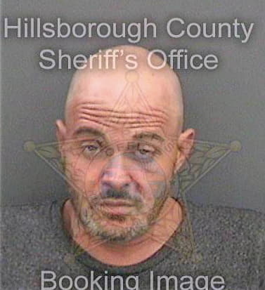 Hahn Gregory - Hillsborough County, FL 