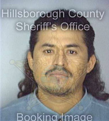 Duartegonzalez Filimon - Hillsborough County, FL 