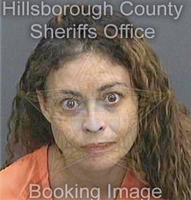 Borreli Jocelyn - Hillsborough County, FL 