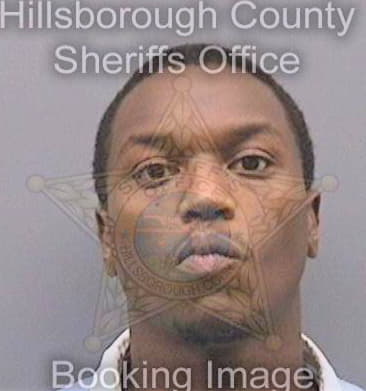 Nelson Leroy - Hillsborough County, FL 