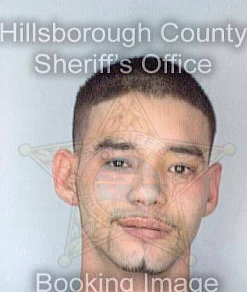 Williams Christopher - Hillsborough County, FL 