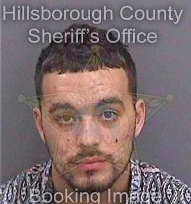 Howard Lawrence - Hillsborough County, FL 