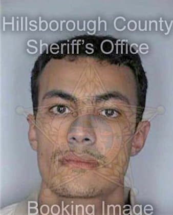 Silva Esdaras - Hillsborough County, FL 
