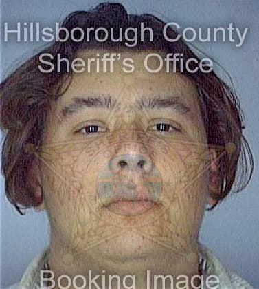 Garcia Humberto - Hillsborough County, FL 