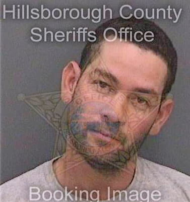 Bombinohernandez Daniuvis - Hillsborough County, FL 