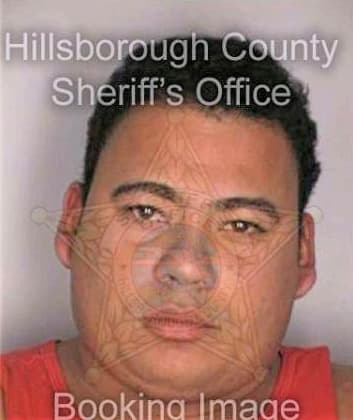 Collazo Carlos - Hillsborough County, FL 