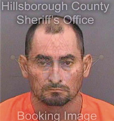 Diaz Lucio - Hillsborough County, FL 