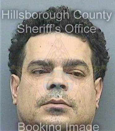 Torresdelgado Carlos - Hillsborough County, FL 