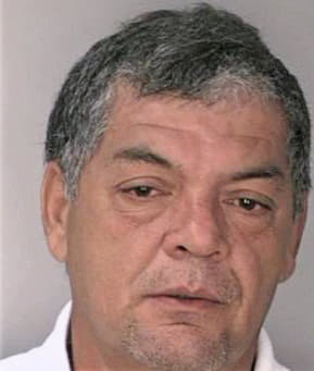 Gonzalez Carlos - Hillsborough County, FL 