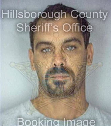 Harbin Anthony - Hillsborough County, FL 