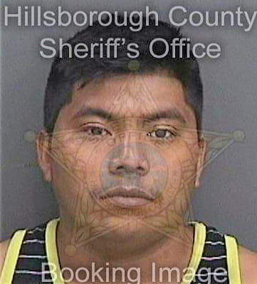 Bartolon Cristian - Hillsborough County, FL 