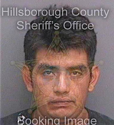 Lopeztambriz Diego - Hillsborough County, FL 