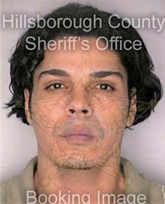 Melendez Gerardo - Hillsborough County, FL 
