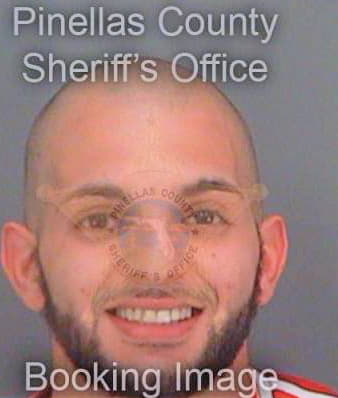 Cheaib Rabih - Pinellas County, FL 