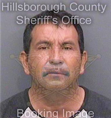 Martinez Jaime - Hillsborough County, FL 