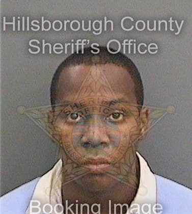 Ferguson Jason - Hillsborough County, FL 