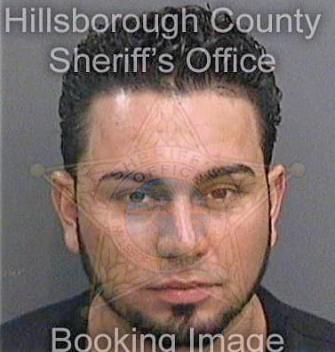 Gonzalezroman Jose - Hillsborough County, FL 