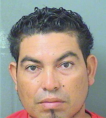 Miguelantonio Molina - PalmBeach County, FL 