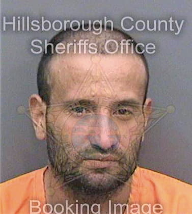 Diaz Wilbert - Hillsborough County, FL 