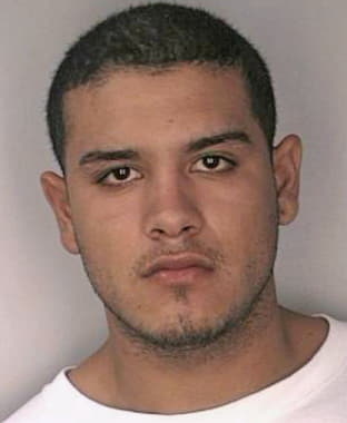 Meza Jose - Hillsborough County, FL 