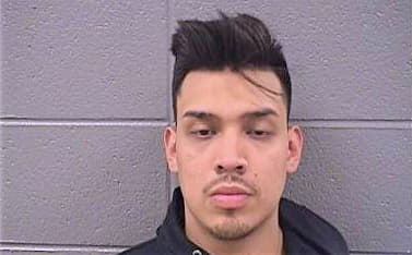 Hernandez Vite - Cook County, IL 