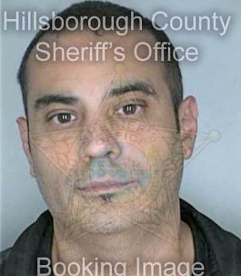 Guerra Israel - Hillsborough County, FL 