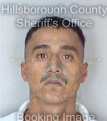 Brito Paul - Hillsborough County, FL 