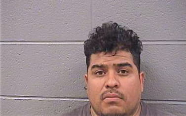 Gonzales Leonel - Cook County, IL 