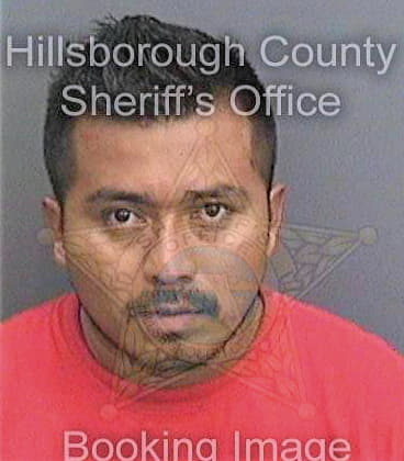 Martinez Samuel - Hillsborough County, FL 