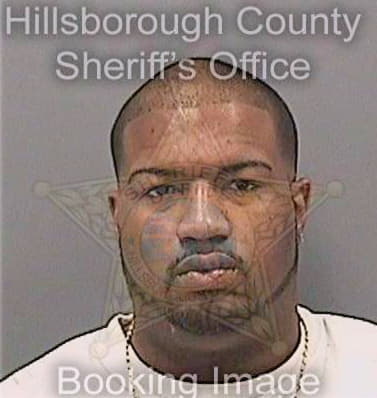 Gonzalezsantos Hector - Hillsborough County, FL 