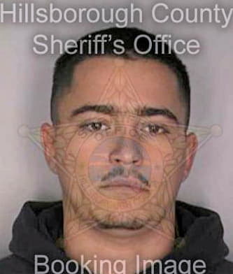 Skeens Nicholas - Hillsborough County, FL 