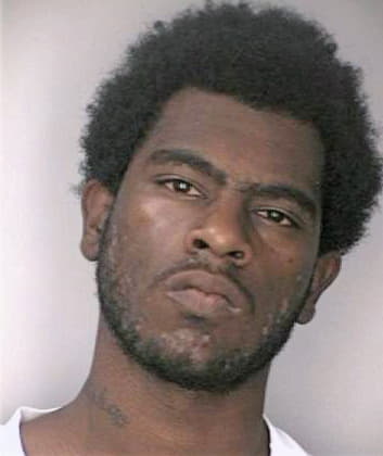 Mendez Willie - Hillsborough County, FL 