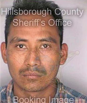 Martinez Antolio - Hillsborough County, FL 