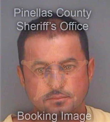 Araujo Arildo - Pinellas County, FL 