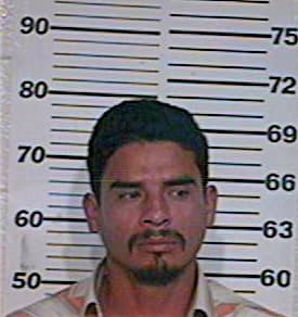 Ramirez Froilan - Hidalgo County, TX 