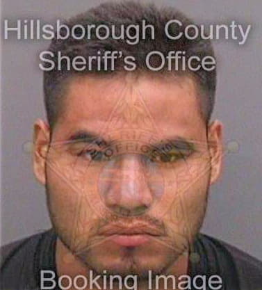 Mendozahernandez Jose - Hillsborough County, FL 