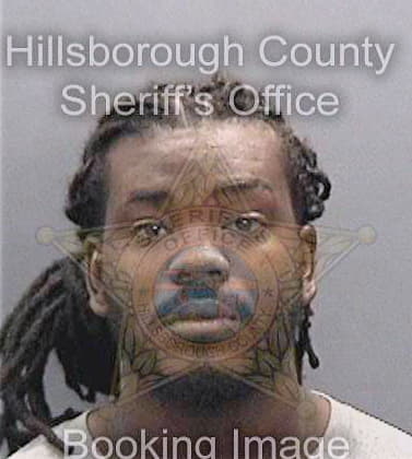 Charles William - Hillsborough County, FL 