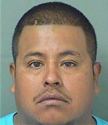 Hernandez Magdaleno - PalmBeach County, FL 