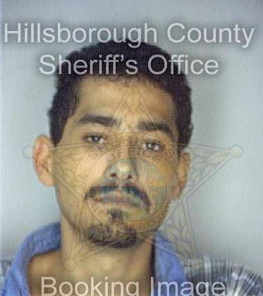 Santiago Eric - Hillsborough County, FL 