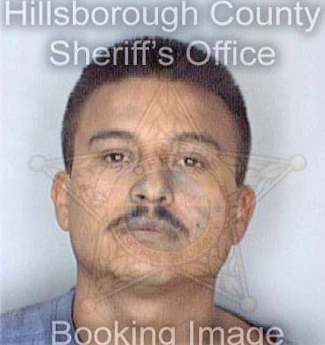 Gutierrez Gabriel - Hillsborough County, FL 