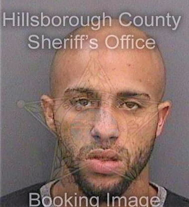 Locke Kristopher - Hillsborough County, FL 