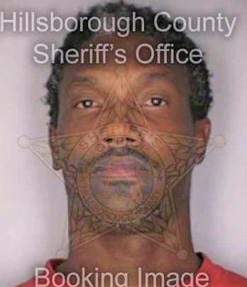 Small Terrance - Hillsborough County, FL 